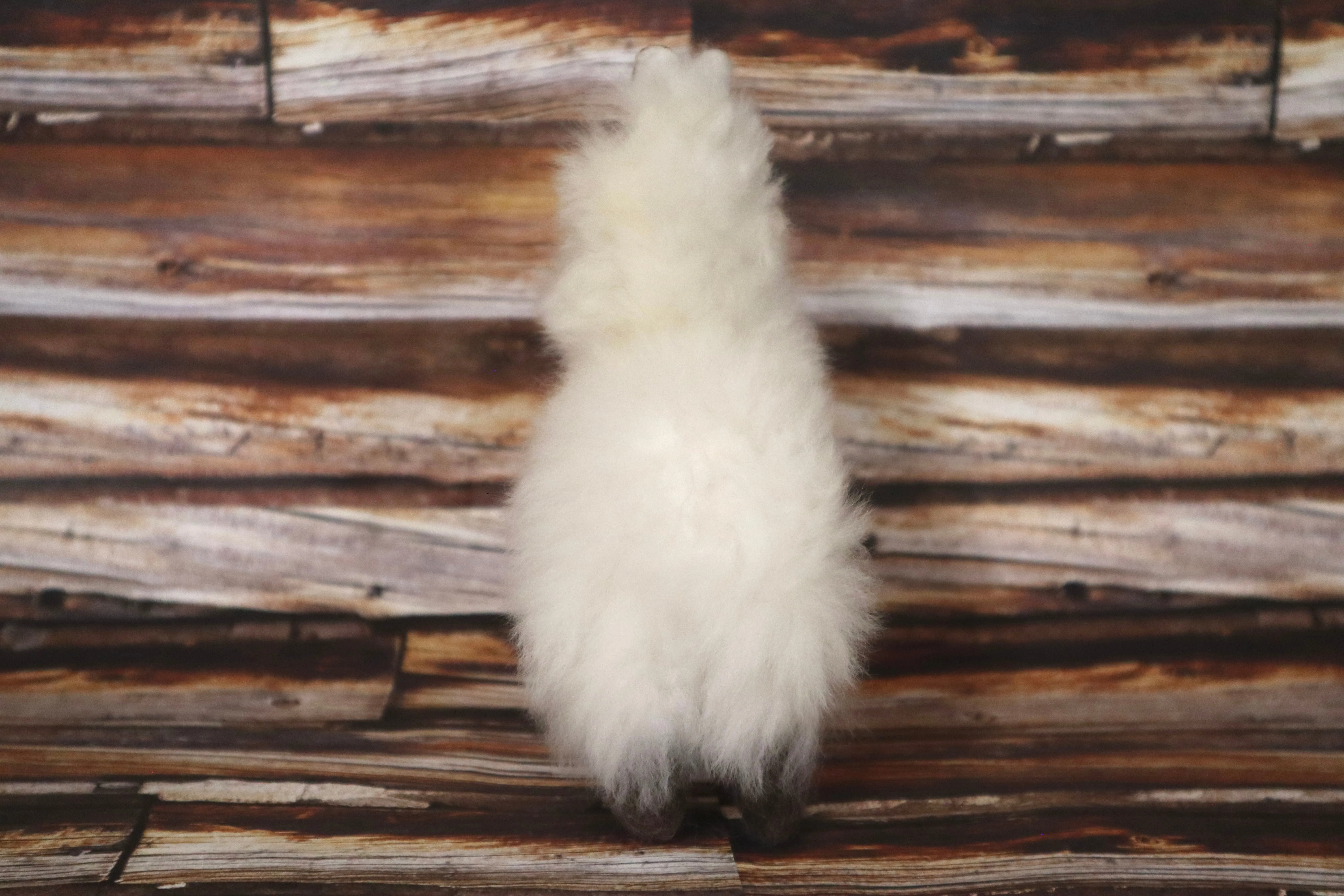 Baby Alpaca Llama Figurine Peruvian Stuffed fur Llama White Color 6.25" Tall
