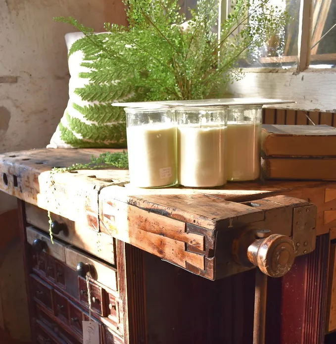 Chartreuse & co. Scented Candle, multiple styles