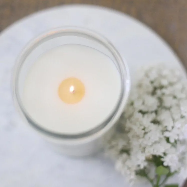 Chartreuse & co. Scented Candle, multiple styles