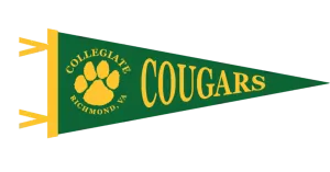 Felt Pennant