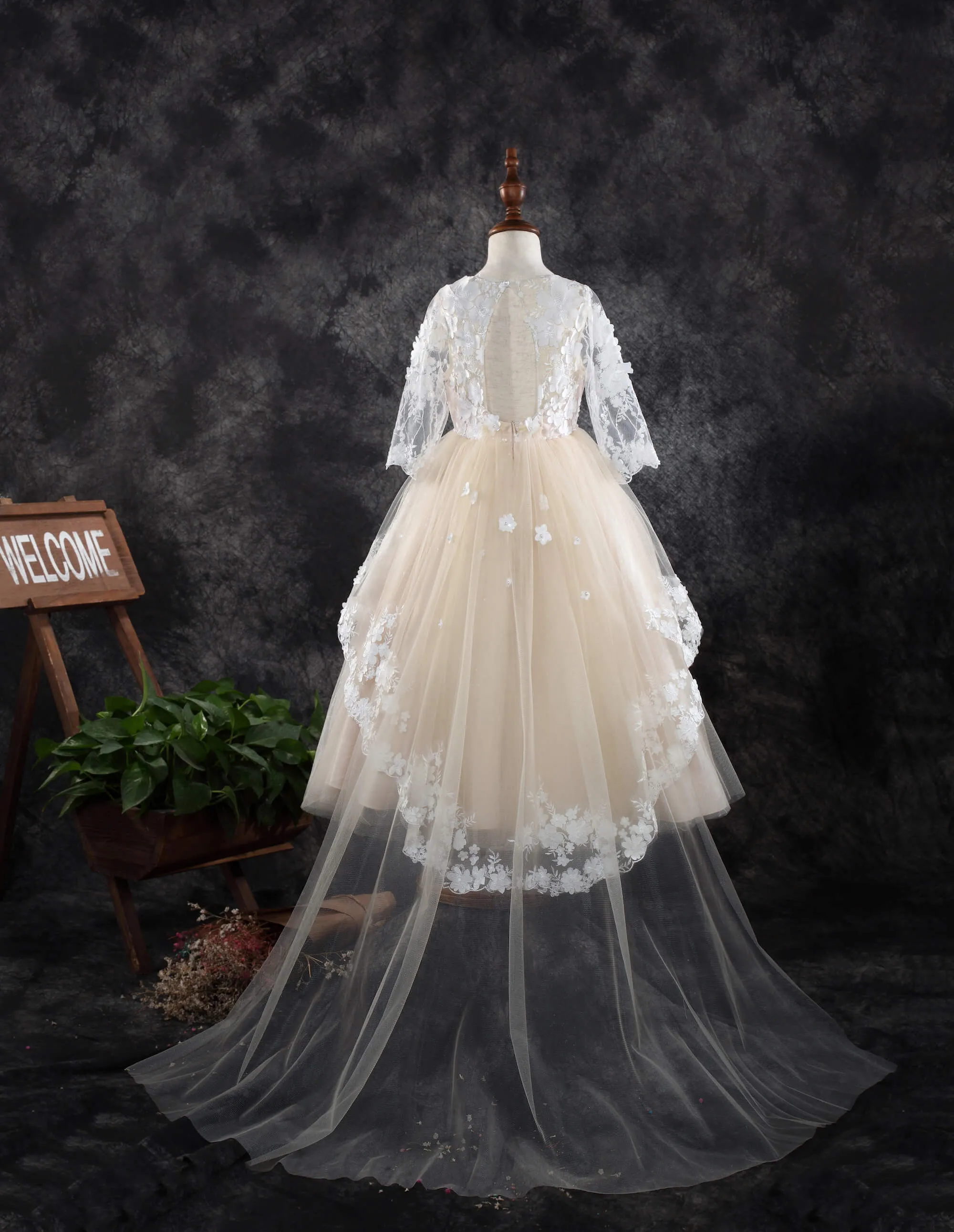 Long Sleeve Dress 1910