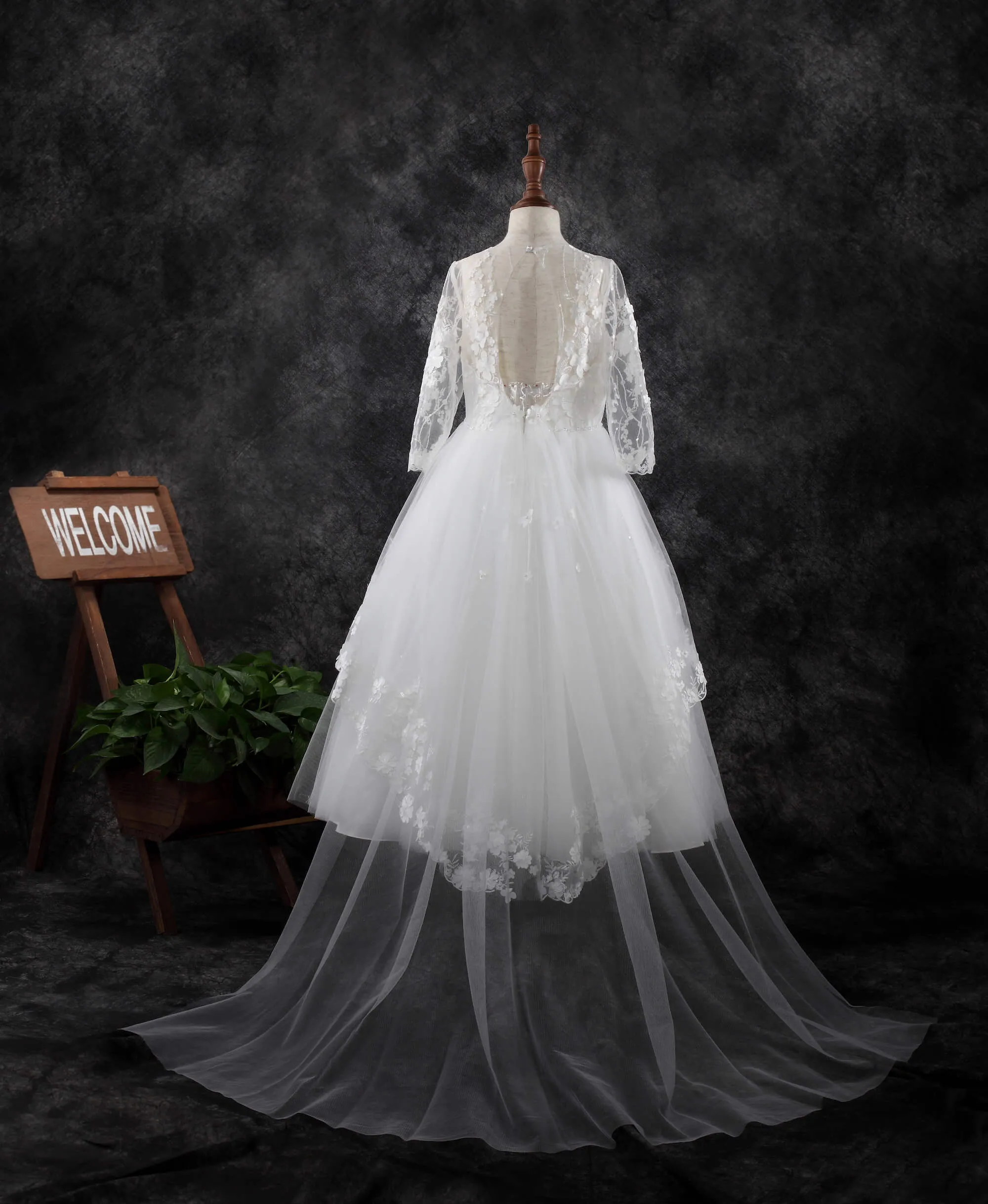 Long Sleeve Dress 1910