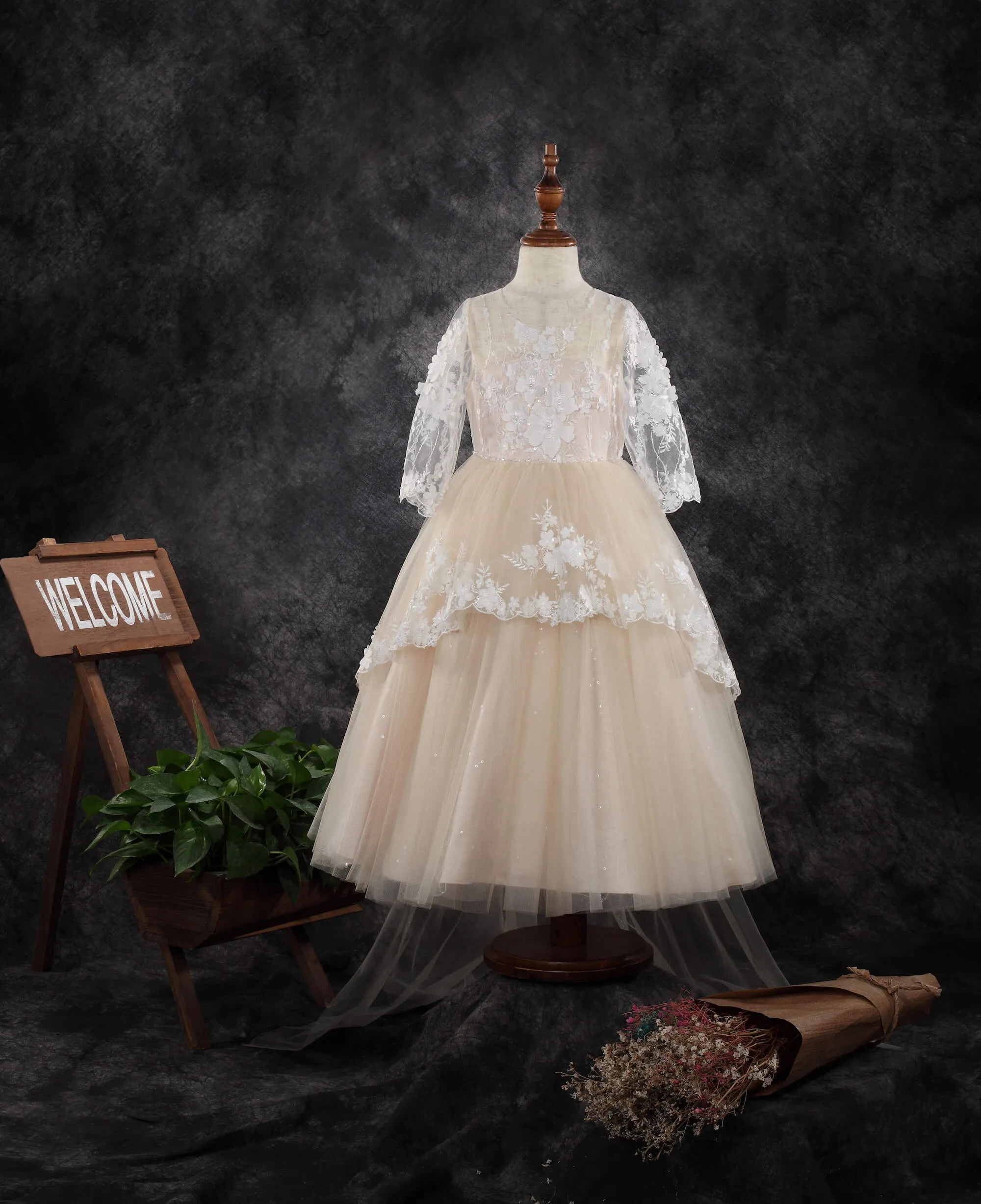 Long Sleeve Dress 1910
