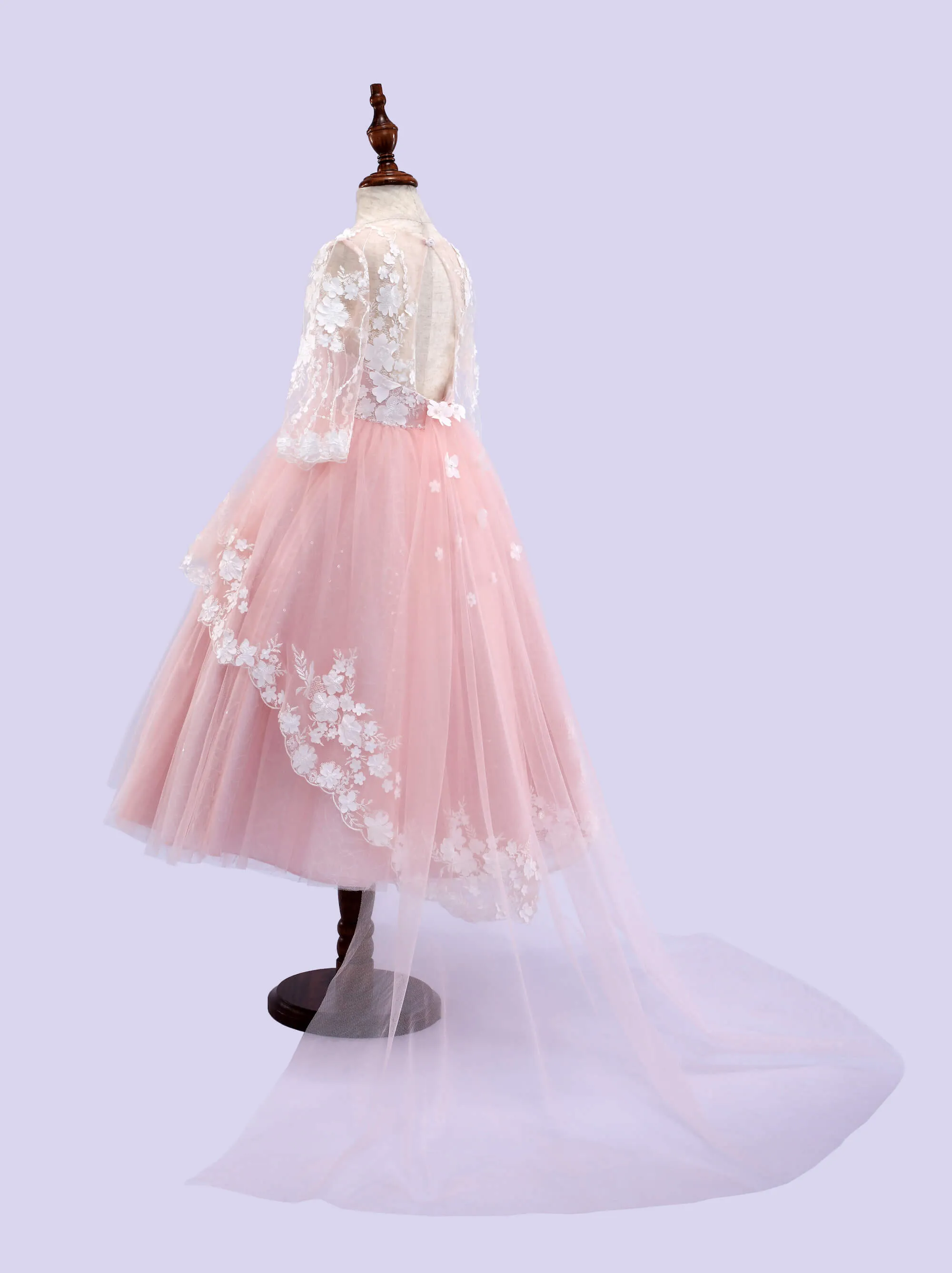Long Sleeve Dress 1910