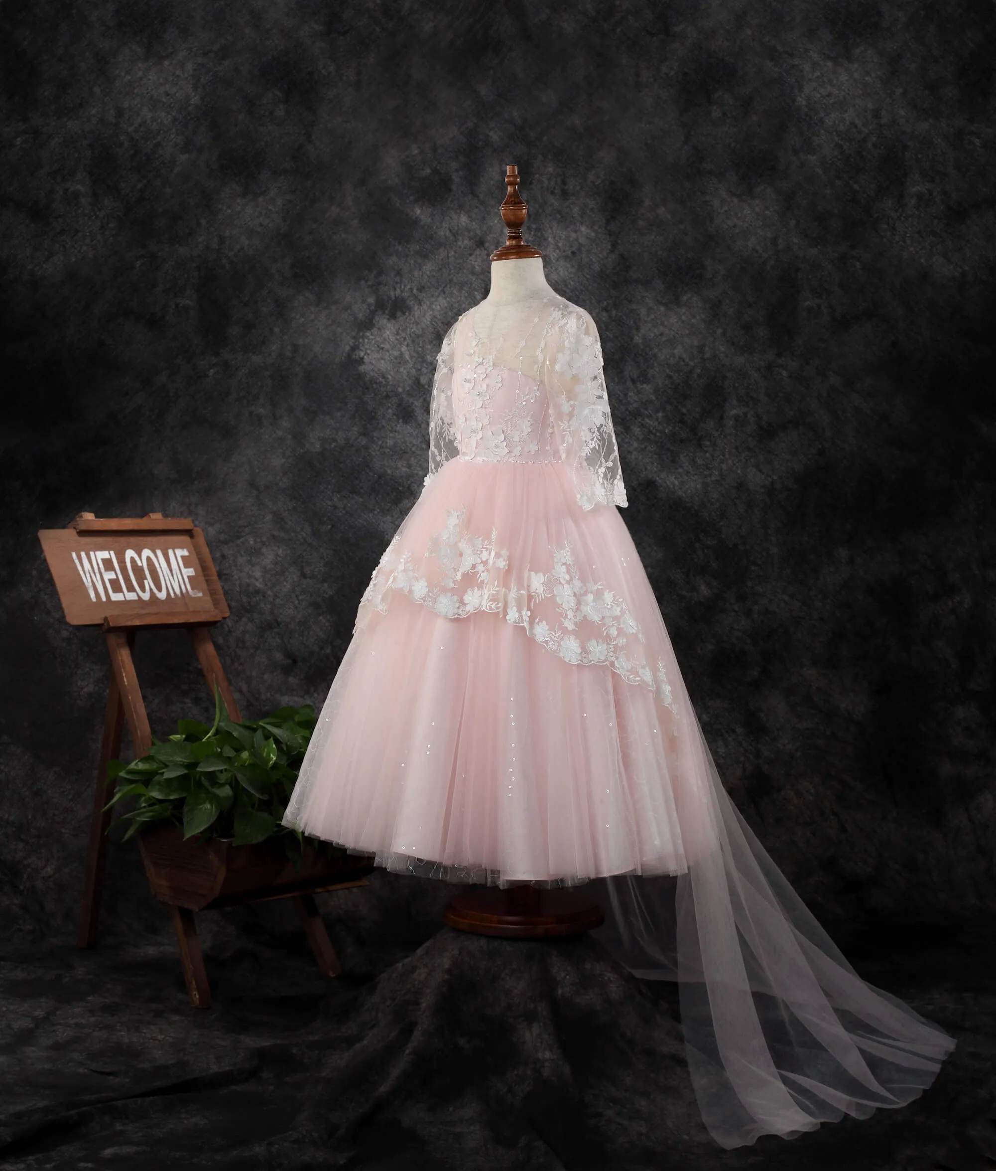 Long Sleeve Dress 1910