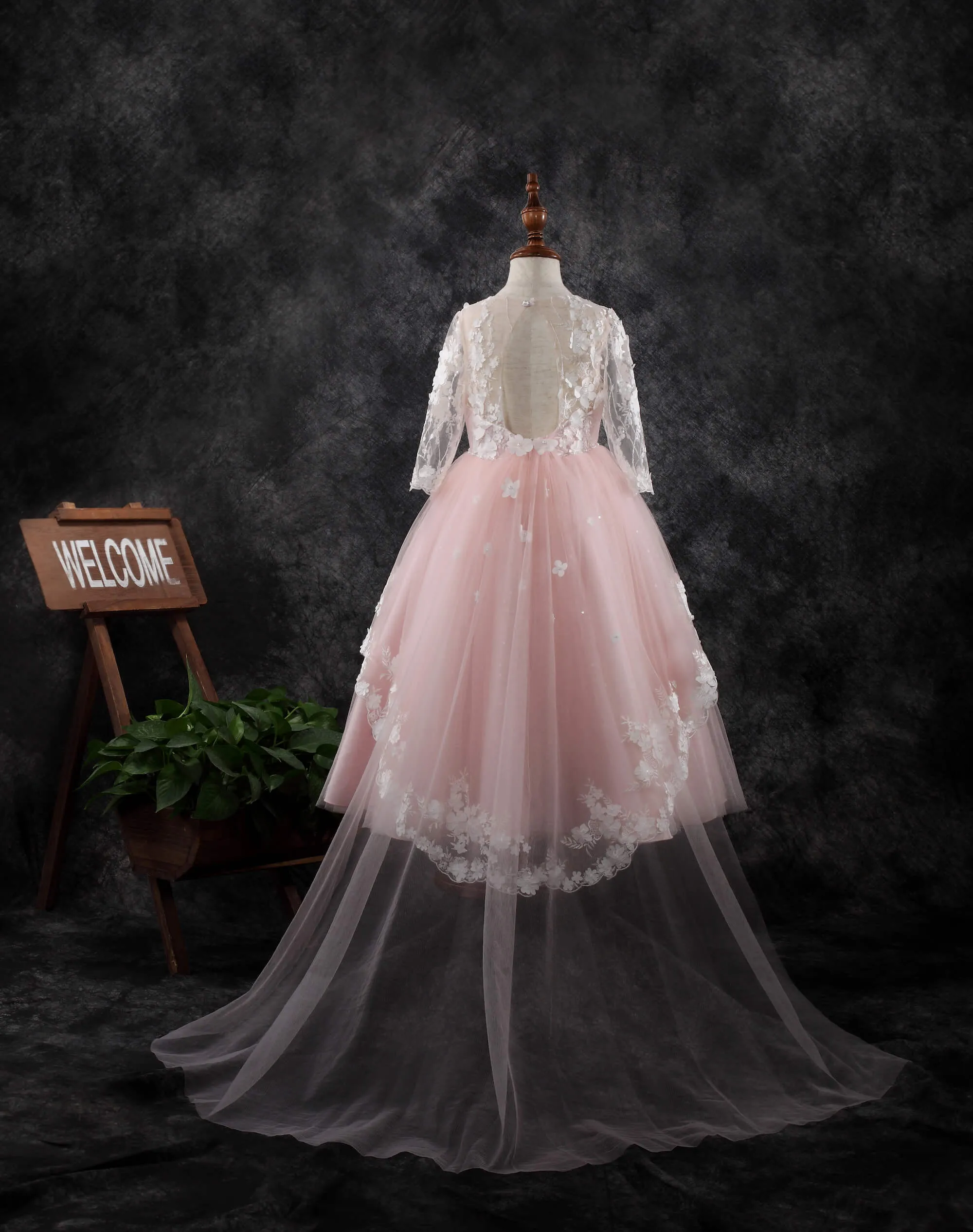 Long Sleeve Dress 1910