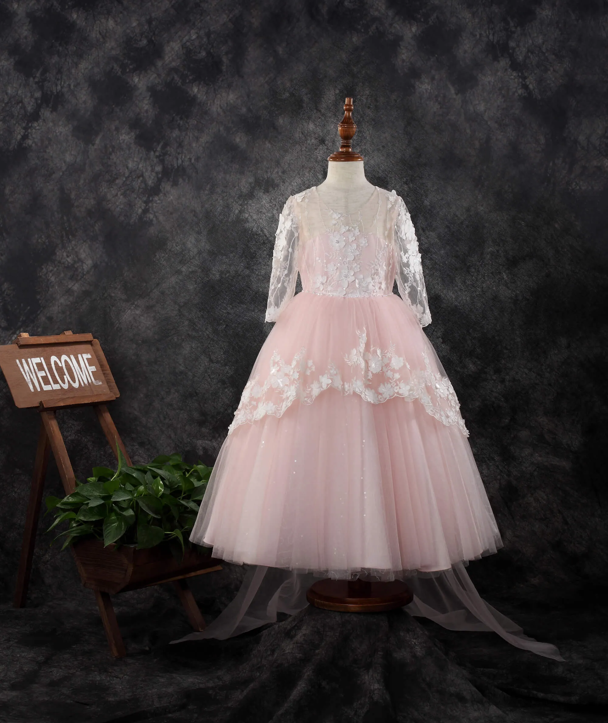 Long Sleeve Dress 1910