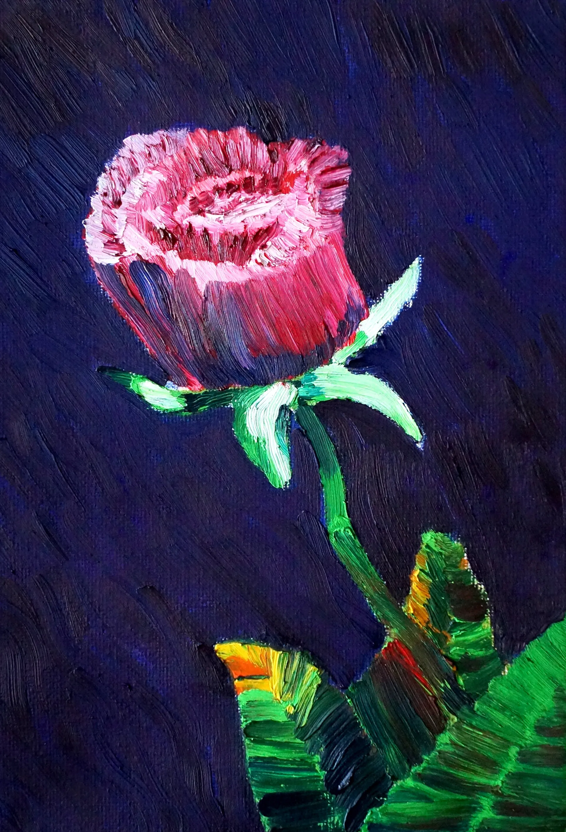 MCG Single Red Rose
