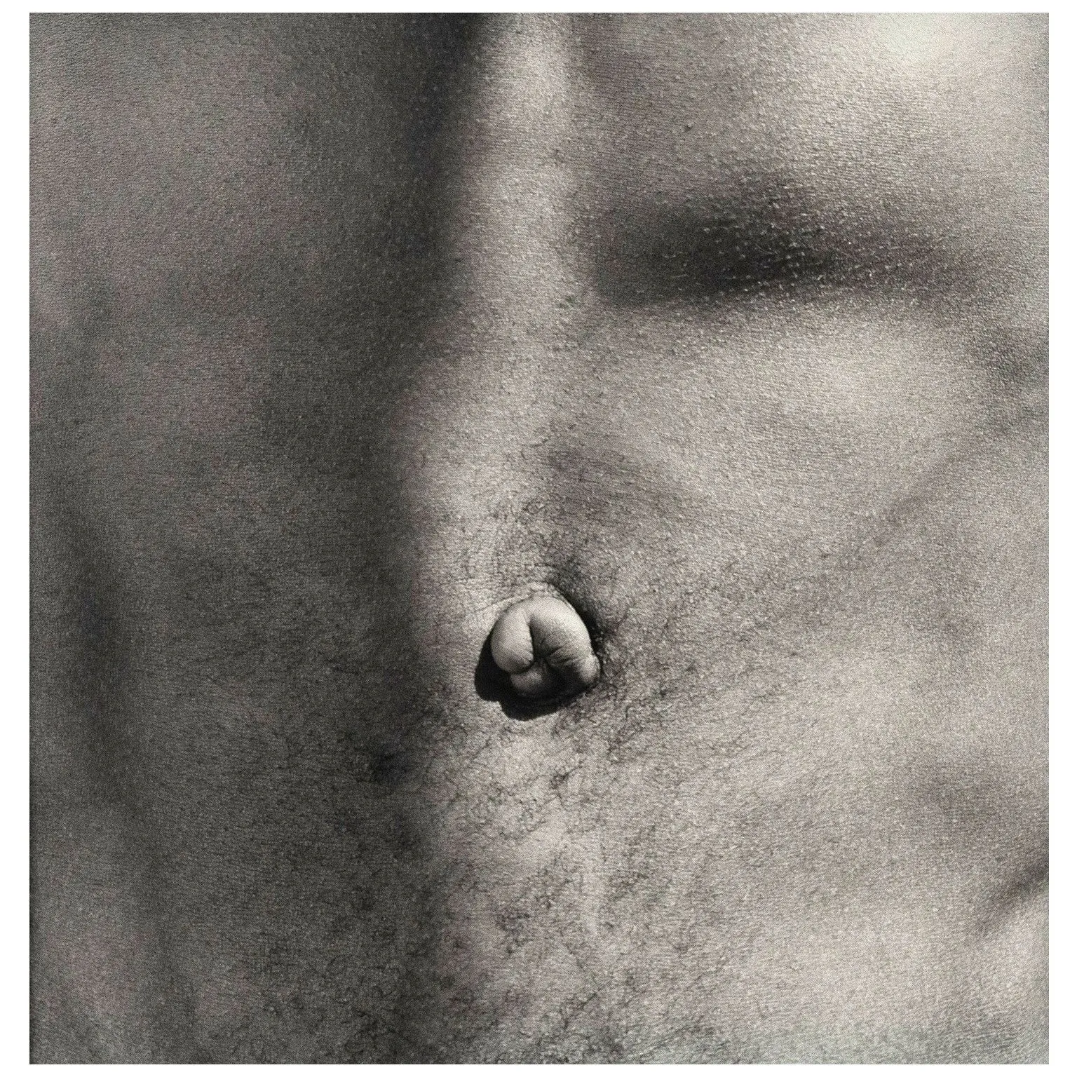 ROBERT MAPPLETHORPE "BELLY BUTTON" 1986