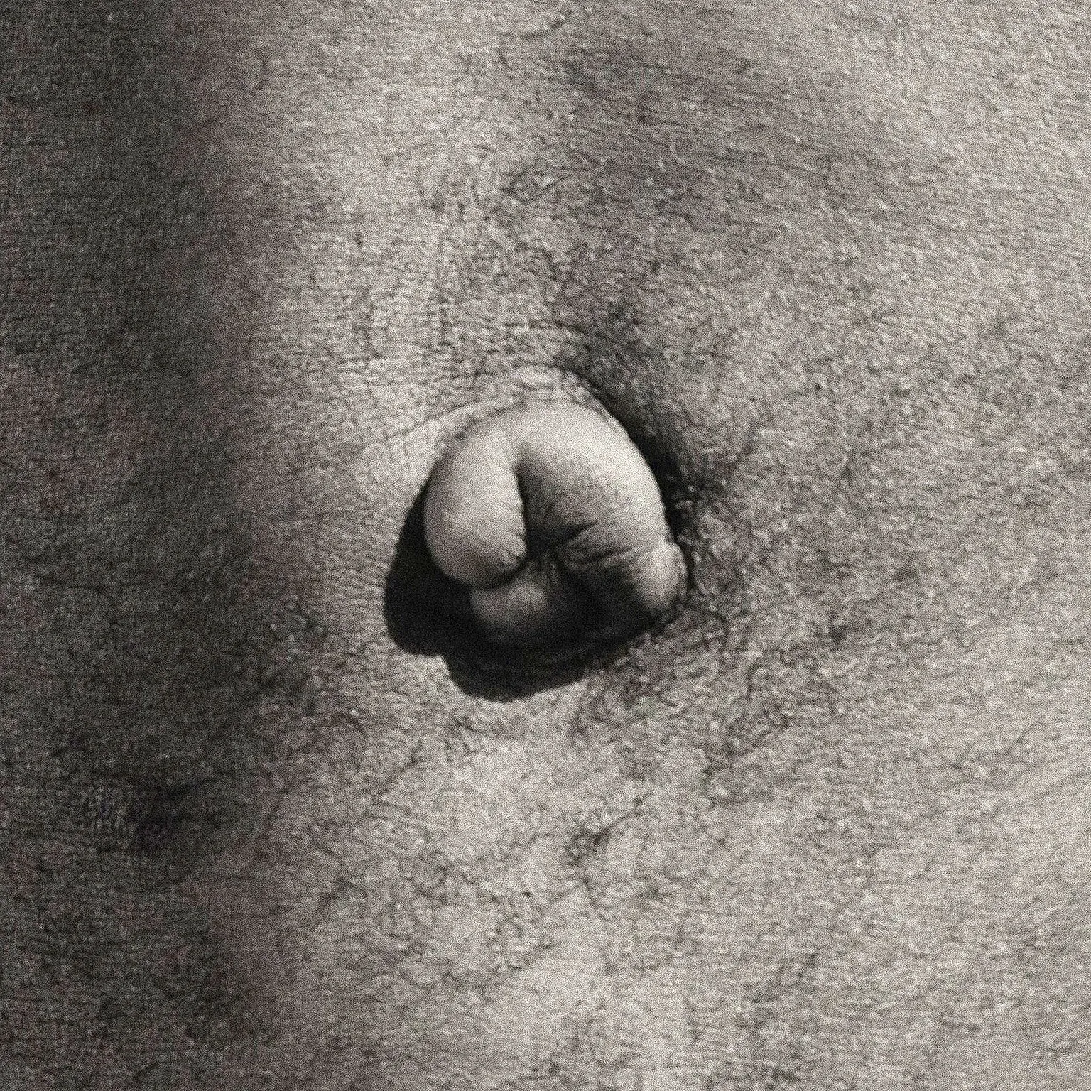 ROBERT MAPPLETHORPE "BELLY BUTTON" 1986