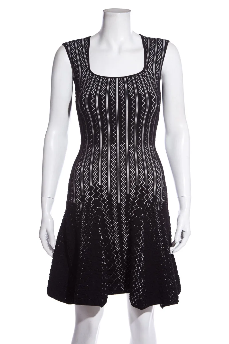 RVN Black & White Sleeveless A-Line Dress SZ S