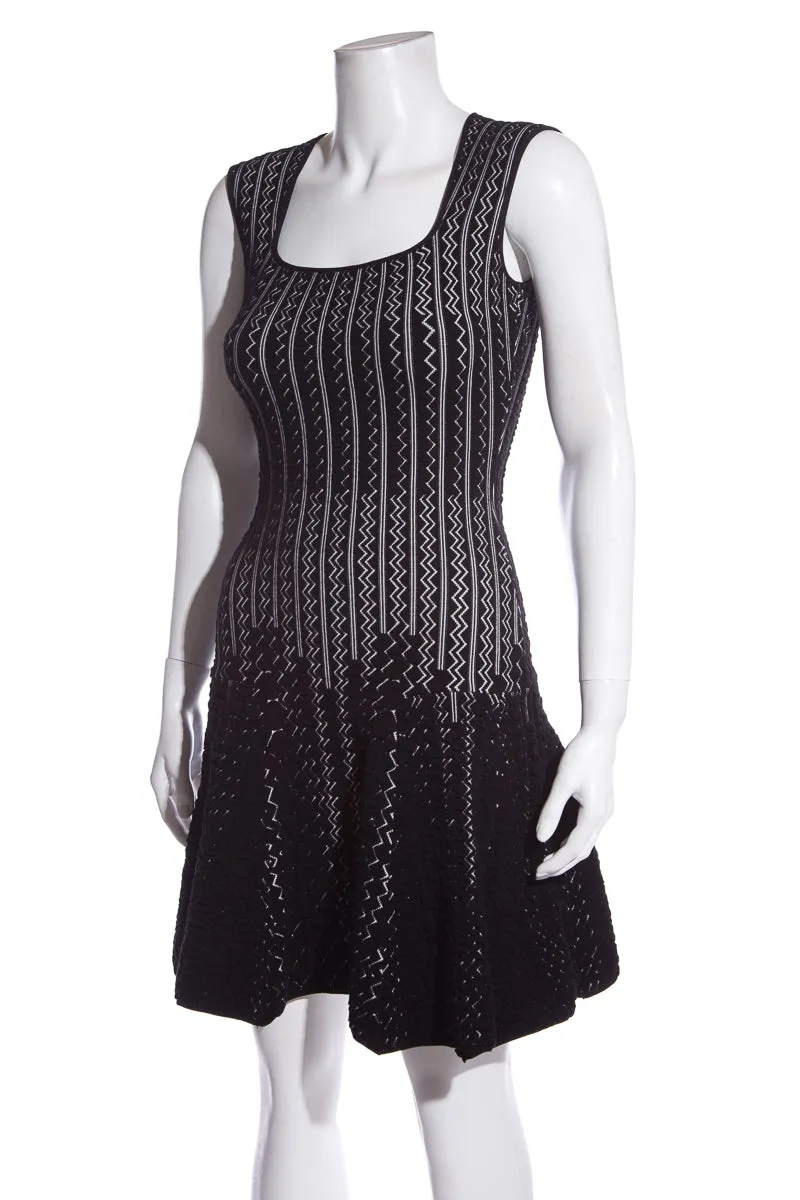 RVN Black & White Sleeveless A-Line Dress SZ S
