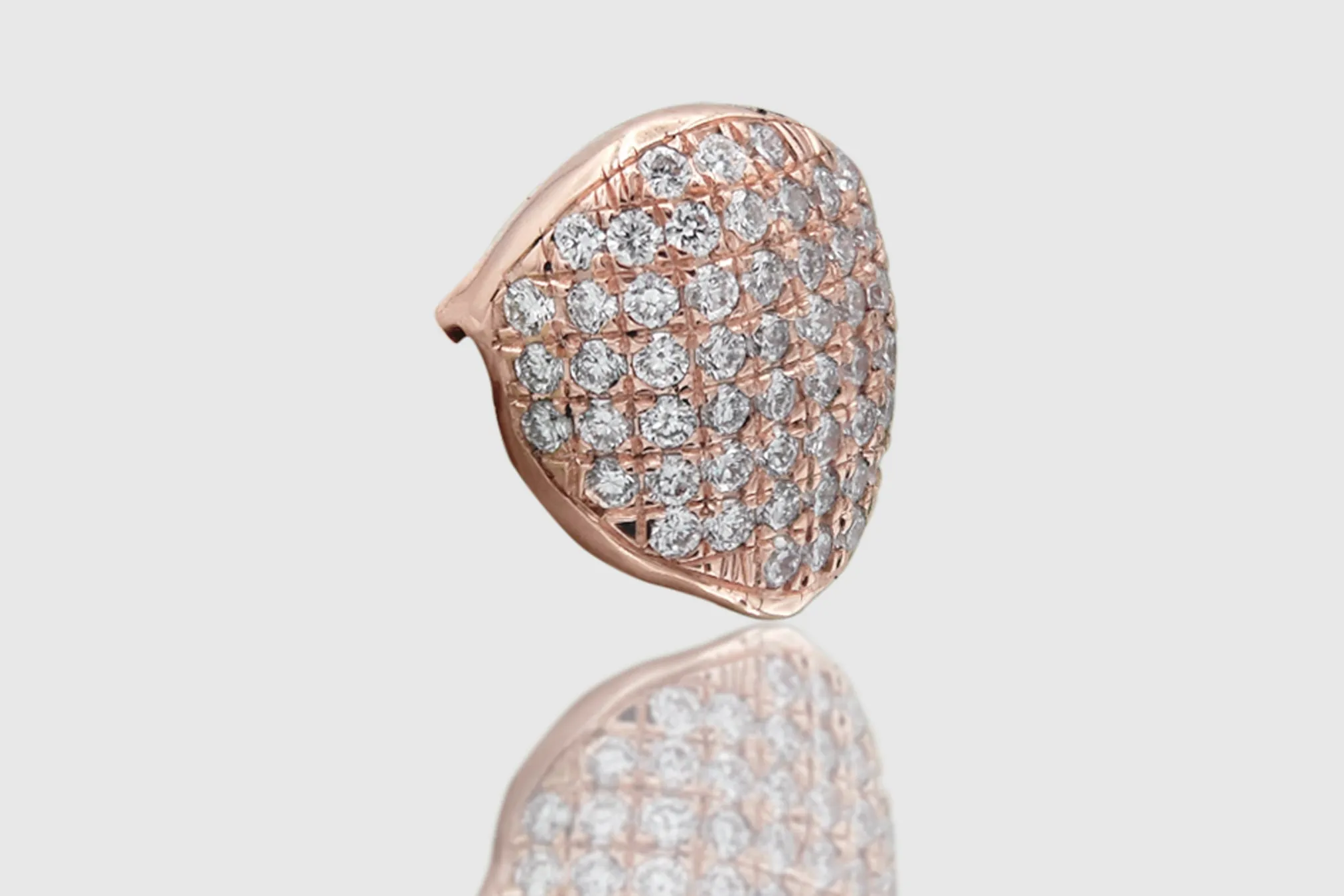 Single Gold and Diamond Grillz
