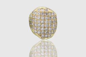 Single Gold and Diamond Grillz