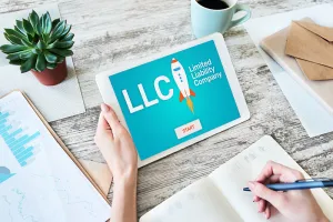 Single Member LLCs: Limited Liability Lite?