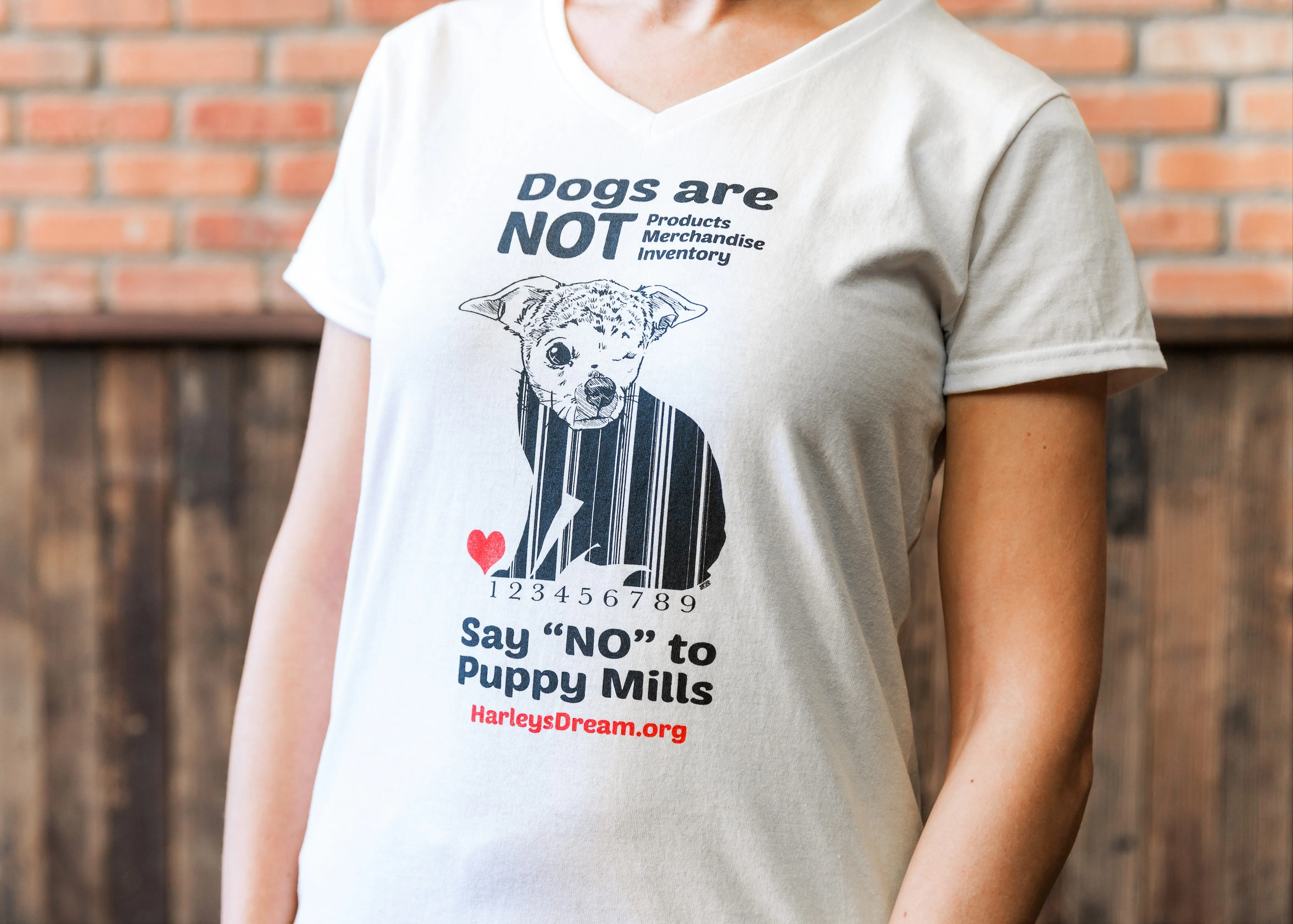 T-Shirt (Ladies, V-Neck) White - "Dogs are NOT Products"