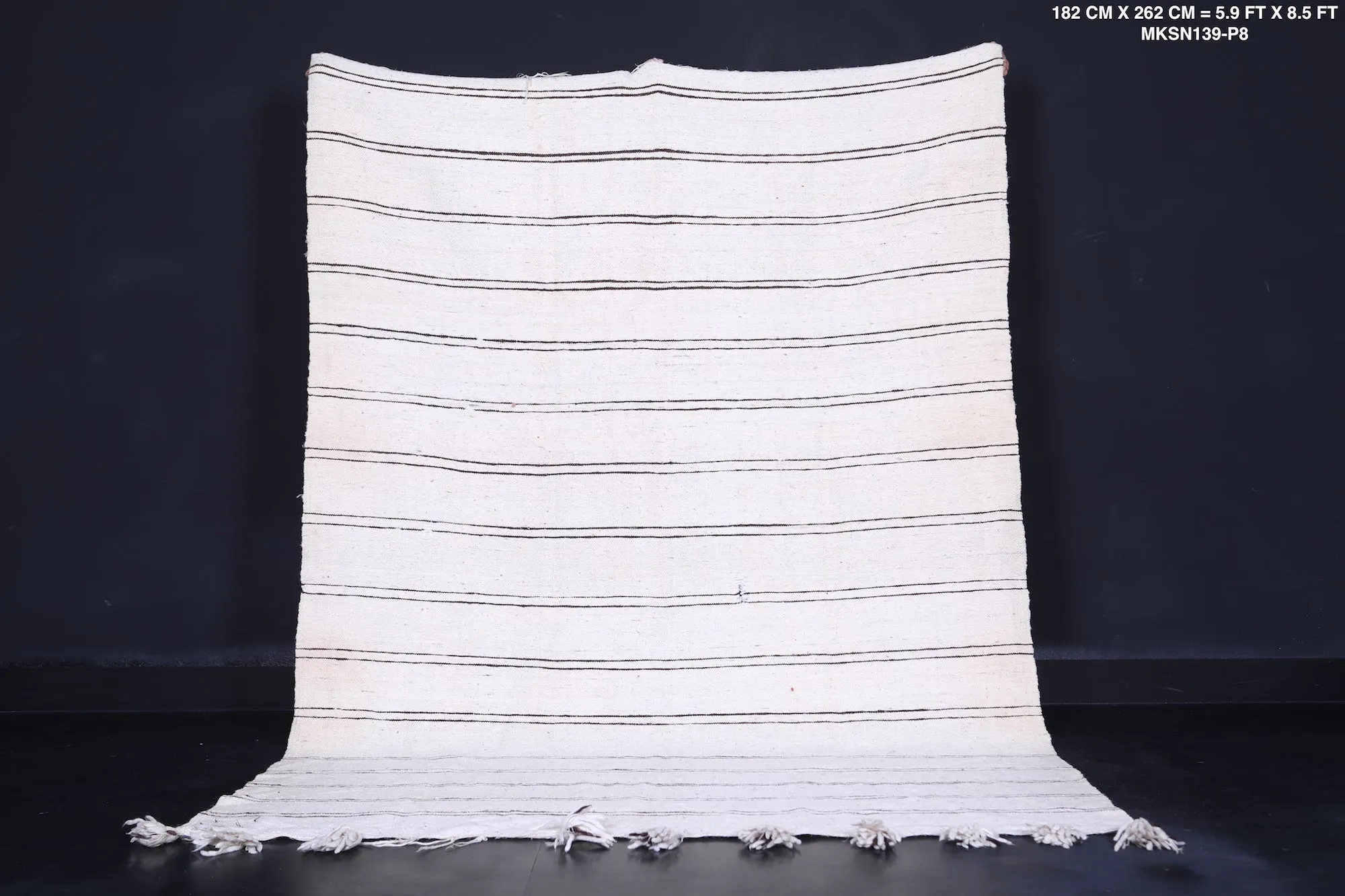 Vintage Moroccan Berber Handwoven Kilim Rug - 5.9 FT X 8.5 FT