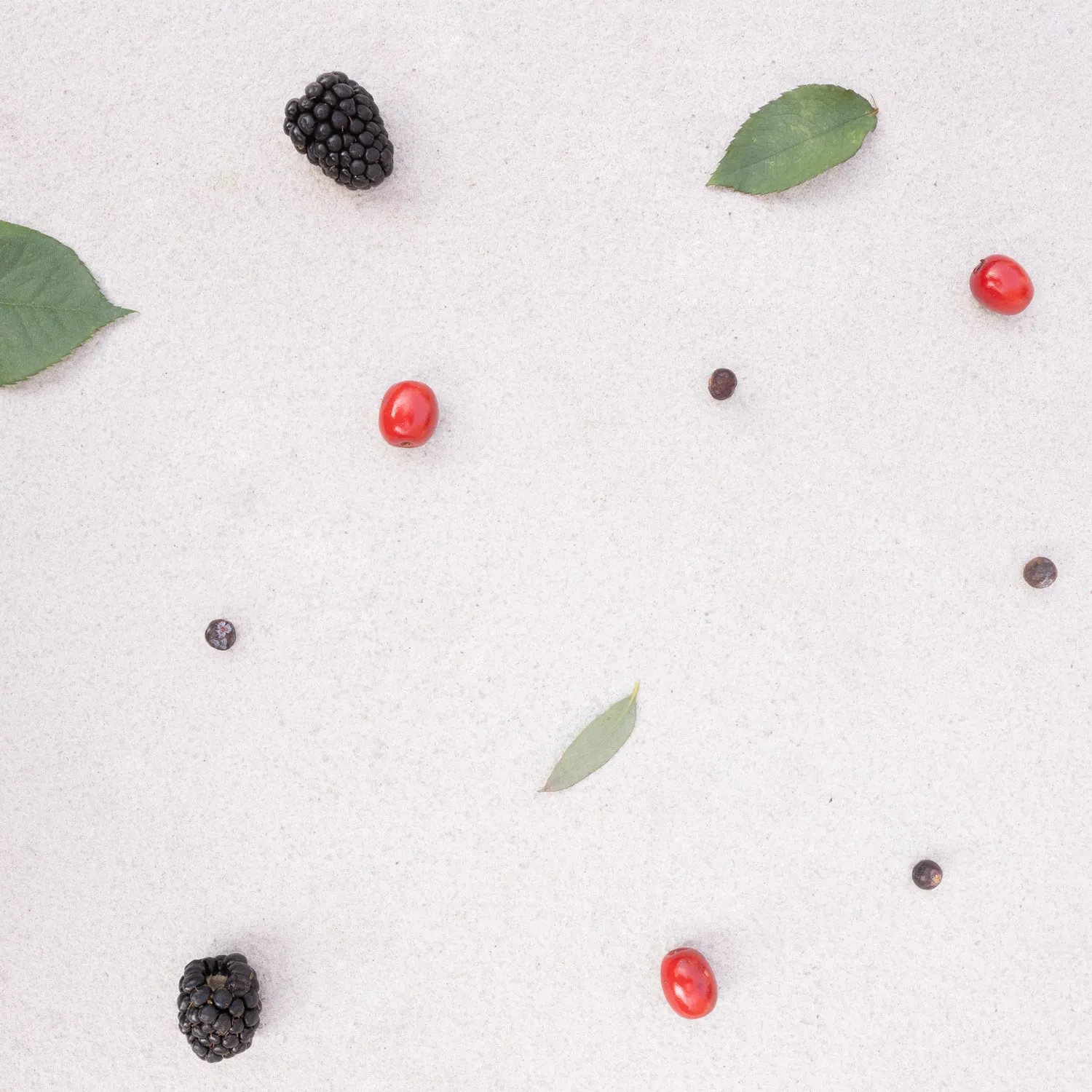 Woodland Berries Scented Candle